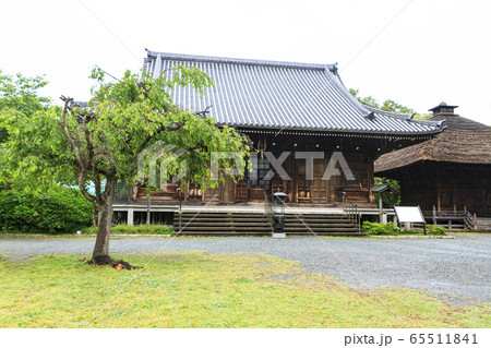 称名寺（初夏） 65511841