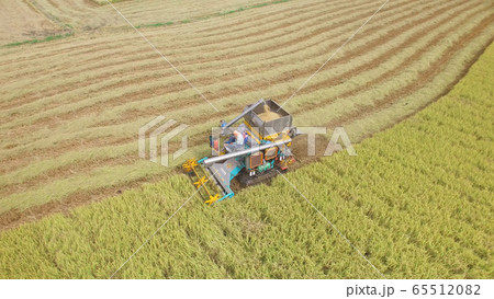 Aerial view of combine on harvest field 65512082