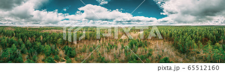 Aerial View Green Coniferous Forest Pines Woods Landscape In Early Spring Day. Top View Of Beautiful European Nature From Attitude. Drone View. Bird's Eye View. panorama, panoramic view Aerial View Green Coniferous Forest Pines Woods Landscape In Early Spring Day. Top View Of Beautiful European Nature From Attitude. Drone View. Bird's Eye View. panorama, panoramic view 65512160