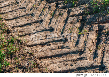 dry soil in the field, the trace of the tractor dry soil in the field, the trace of the tractor 65512233