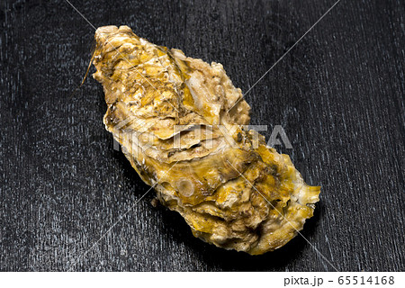 新鮮で美味しい牡蠣貝 新鮮で美味しい牡蠣貝 65514168