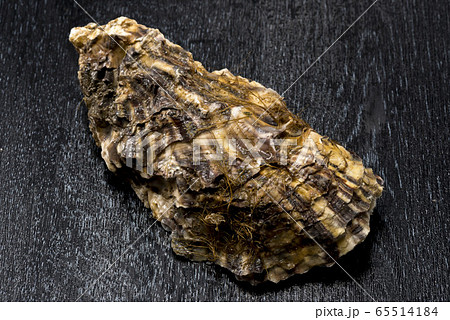 新鮮で美味しい牡蠣貝 新鮮で美味しい牡蠣貝 65514184