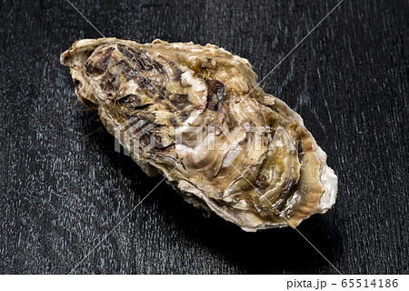 新鮮で美味しい牡蠣貝 新鮮で美味しい牡蠣貝 65514186