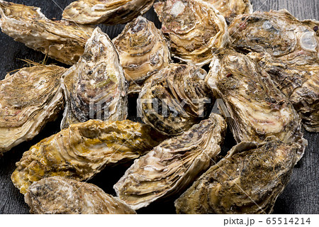 新鮮で美味しい牡蠣貝 新鮮で美味しい牡蠣貝 65514214
