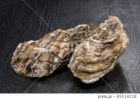 新鮮で美味しい牡蠣貝 新鮮で美味しい牡蠣貝 65514219