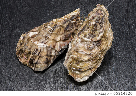 新鮮で美味しい牡蠣貝 新鮮で美味しい牡蠣貝 65514220