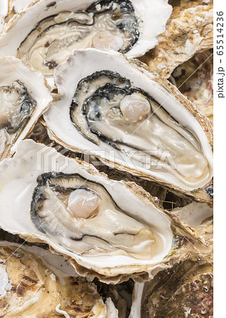 新鮮で美味しい牡蠣貝 新鮮で美味しい牡蠣貝 65514236