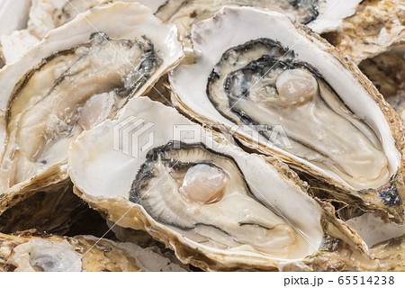 新鮮で美味しい牡蠣貝 新鮮で美味しい牡蠣貝 65514238