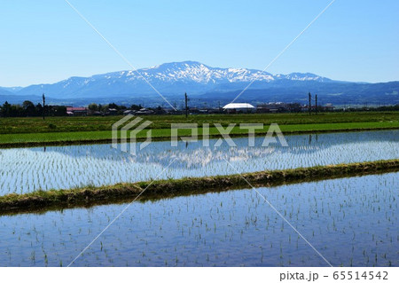 月山（がっさん）日本百名山 65514542