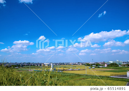 荒川土手 大久保浄水場付近付近からの景観 さいたま市 荒川土手 大久保浄水場付近付近からの景観 さいたま市 65514891