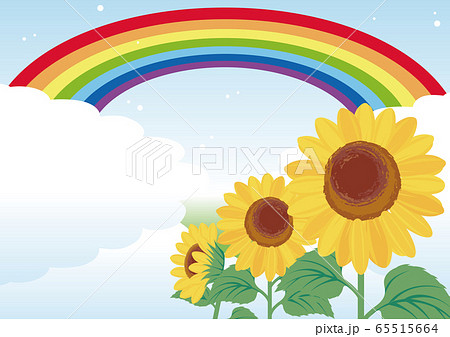 ひまわり 夏 虹 空 風景 背景 コピースペースのイラスト素材