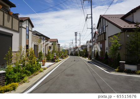 東京　稲城市の新興住宅地　新築一戸建て 65515676