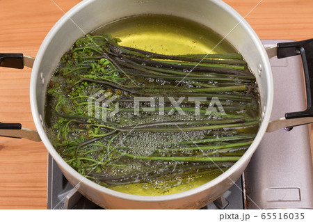 蕨(わらび)の灰汁(あく)抜き 5 蕨(わらび)の灰汁(あく)抜き 5 65516035
