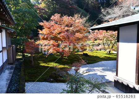 長寿寺 65516263
