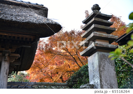 長寿寺 65516264