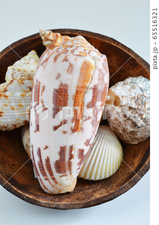 海で拾った夏の思い出 65516321