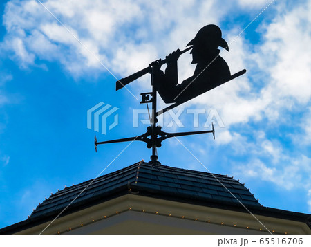 Weather Vane 65516706