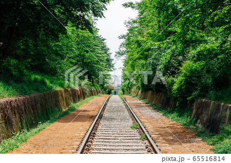 Hangdong Railroad with green forest in Seoul, Korea Hangdong Railroad with green forest in Seoul, Korea 65516814