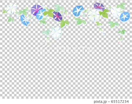  早晨的太陽 65517234