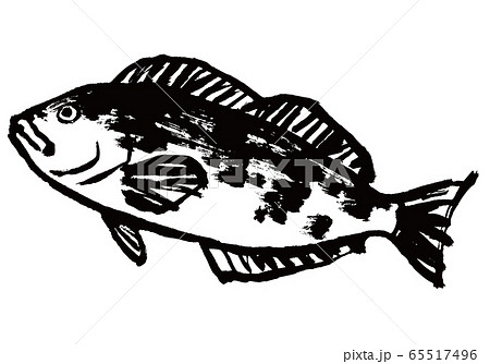 あいなめ　水彩画 65517496