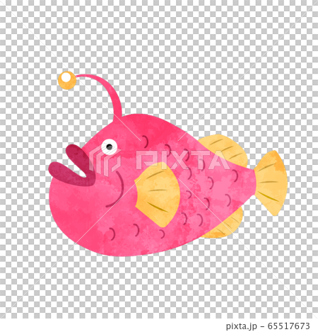 チョウチンアンコウのイラスト素材