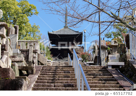京都・金戒光明寺 三重塔 京都・金戒光明寺 三重塔 65517702