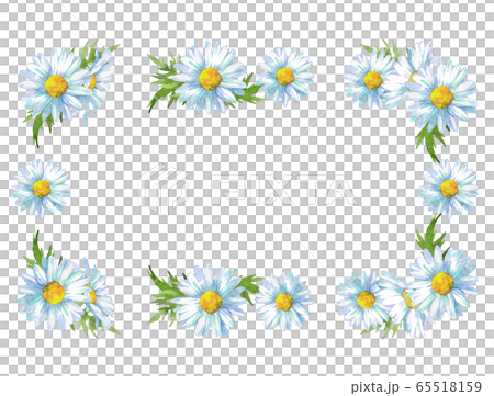 White daisy frame 65518159