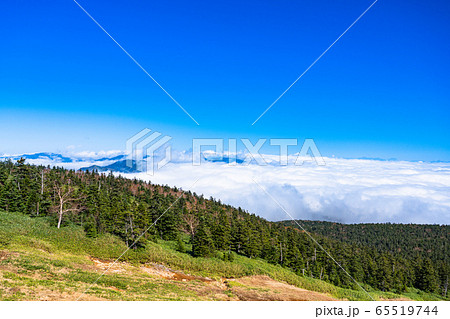 《長野県》横手山山頂・志賀高原の大雲海 65519744