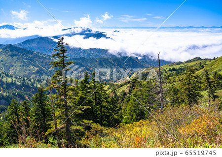 《長野県》横手山山頂・志賀高原の大雲海 《長野県》横手山山頂・志賀高原の大雲海 65519745