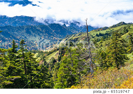 《長野県》横手山山頂・志賀高原の大雲海 《長野県》横手山山頂・志賀高原の大雲海 65519747