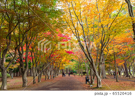 【北海道函館】香雪園は豪商岩船家が別荘として明治31年頃から造成した本格的「風景式庭園」 【北海道函館】香雪園は豪商岩船家が別荘として明治31年頃から造成した本格的「風景式庭園」 65520416