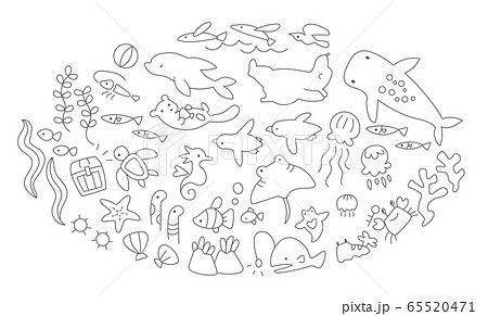 最も人気のある 海の生き物 イラスト 塗り絵 最高の壁紙のアイデアcahd