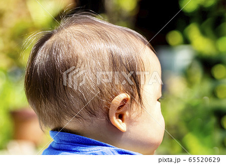 赤ちゃんの後頭部　または赤ちゃんの横顔 65520629