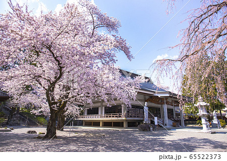 【山梨県】桜満開の妙了寺 【山梨県】桜満開の妙了寺 65522373