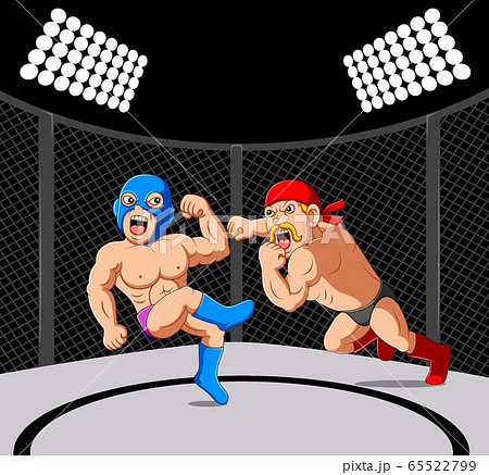 Fighter sparring mixed martial arts 65522799