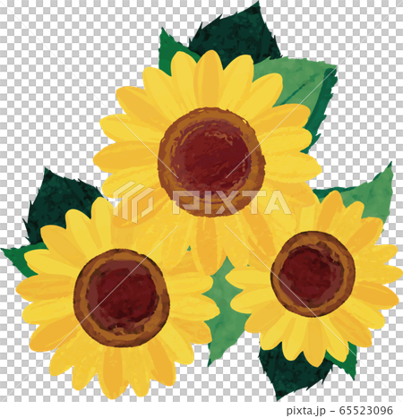 ひまわり 夏 花 イラスト素材 水彩 アナログのイラスト素材