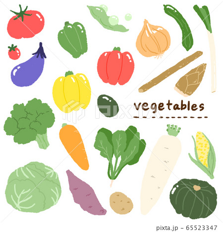 お野菜たち 65523347