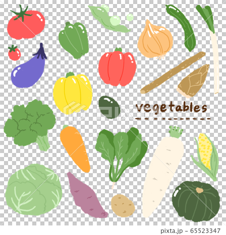 お野菜たち 65523347