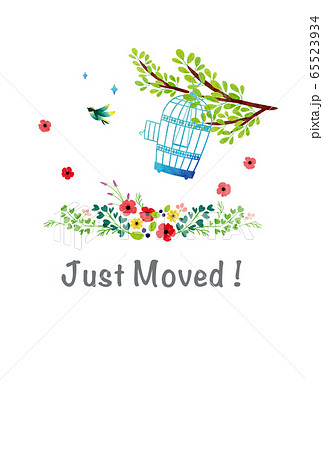 ハガキ素材-JustMoved(鳥,添書なし)テク ハガキ素材-JustMoved(鳥,添書なし)テク 65523934