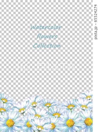 Shaster daisy watercolor 65524274