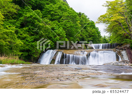 新緑の滑津大滝 白石川の流れ 宮城県七ヶ宿町 新緑の滑津大滝 白石川の流れ 宮城県七ヶ宿町 65524477