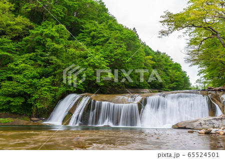 新緑の滑津大滝 白石川の流れ 宮城県七ヶ宿町 新緑の滑津大滝 白石川の流れ 宮城県七ヶ宿町 65524501