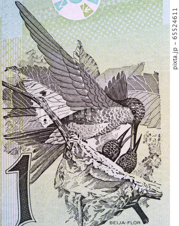 Sapphire-spangled emerald a portrait from Brazilian money Sapphire-spangled emerald a portrait from Brazilian money 65524611