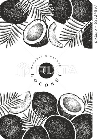 Coconut with palm leaves design template. Hand 65524897