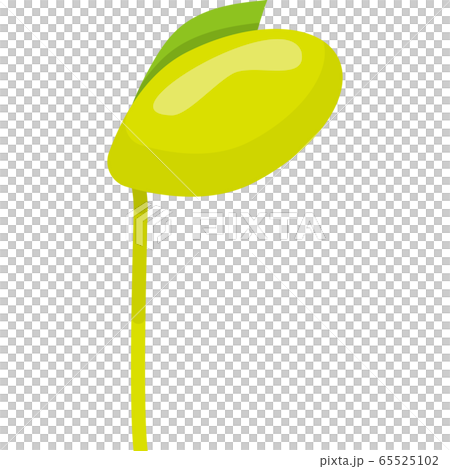 illustration 數字動畫 醫療插圖 65525102