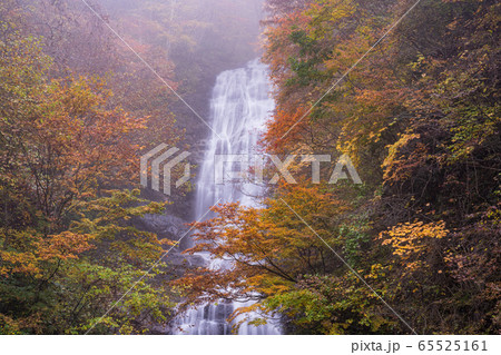 (長野県)旧飛騨街道・地蔵峠 唐沢の滝 (長野県)旧飛騨街道・地蔵峠 唐沢の滝 65525161