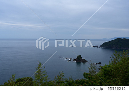 横浪黒潮ライン 横浪黒潮ライン 65526212