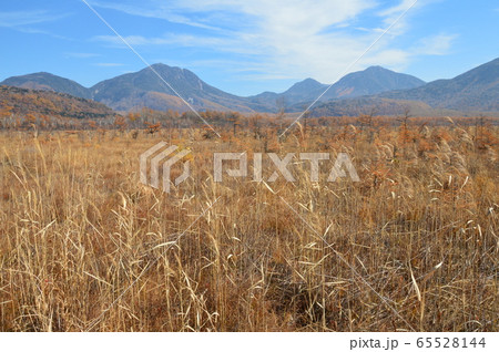 日光･戦場ヶ原（栃木県日光市） 65528144