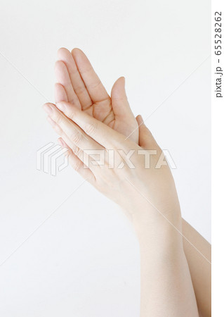 手 65528262