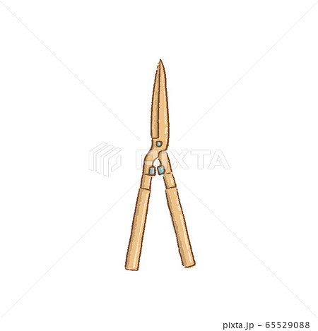 Professional garden pruner or scissors or 65529088